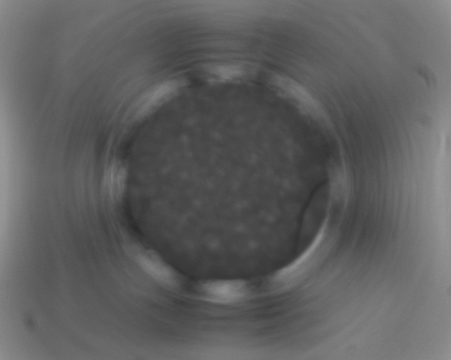 X0000113620191200910162001