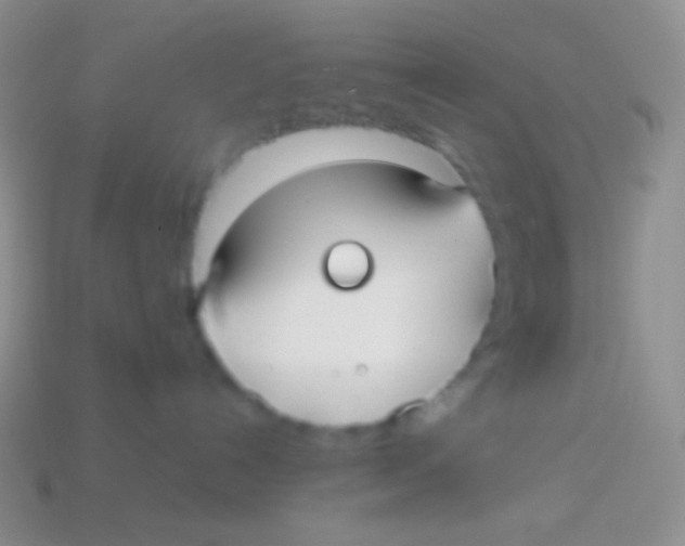 X0000113620192200910162001