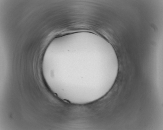 X0000113620193200910162000