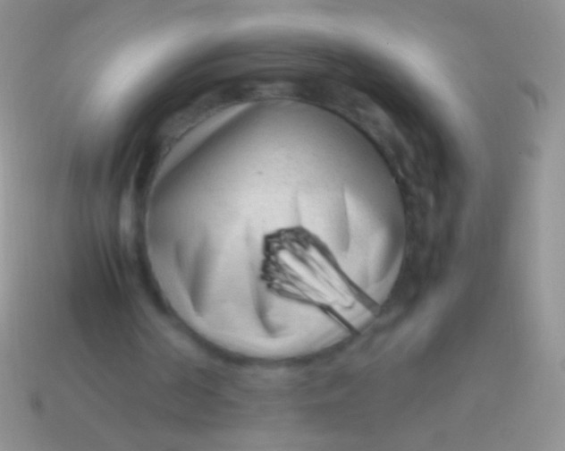 X0000113620194200910162000