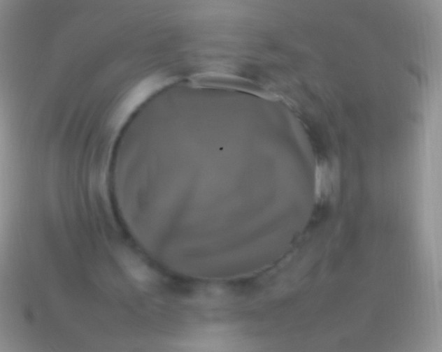 X0000113620195200910162000