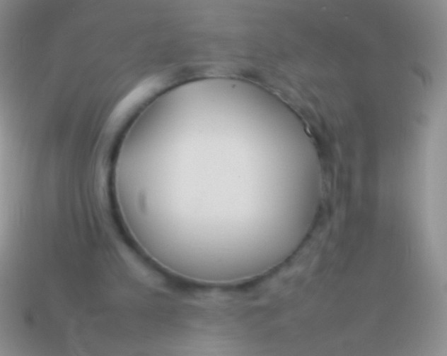 X0000113620197200910162000