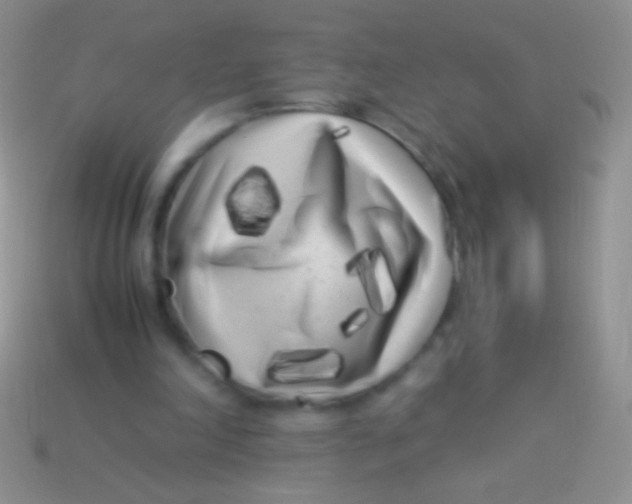 X0000113620198200910162000