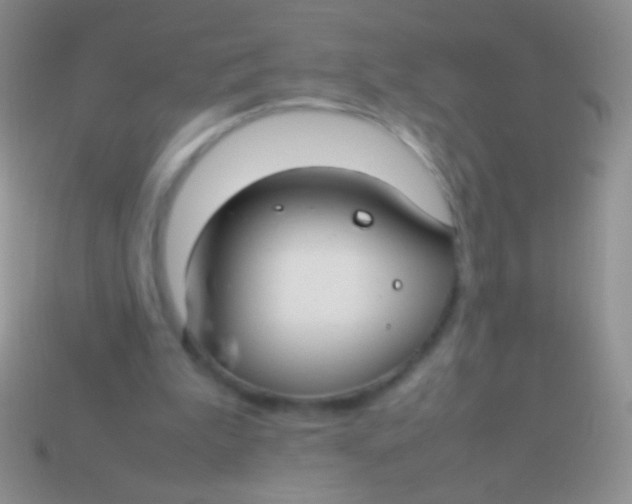 X0000113620199200910162000
