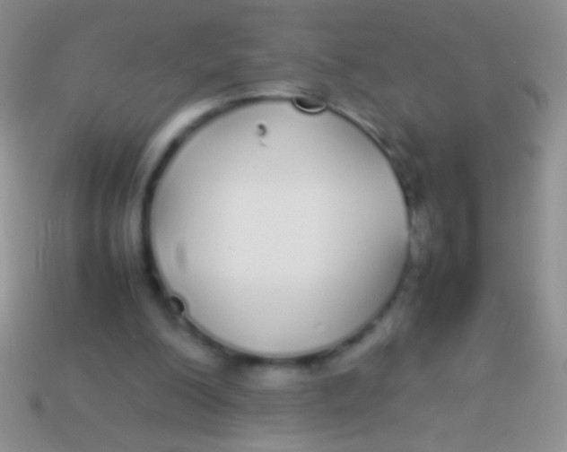 X0000113620200200910162000