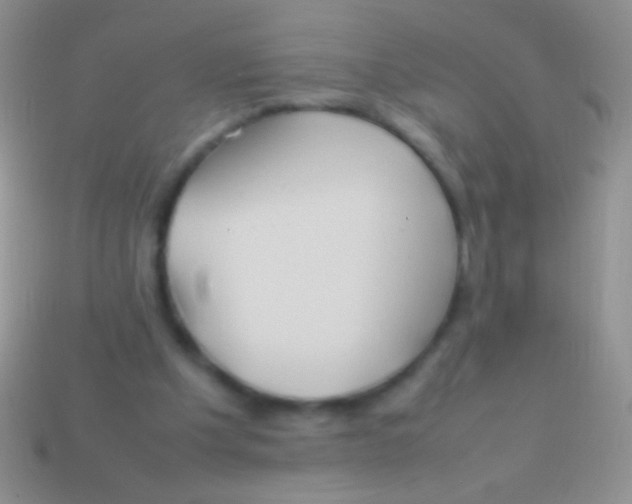 X0000113620201200910162000