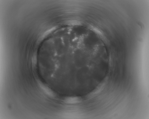 X0000113620202200910162000