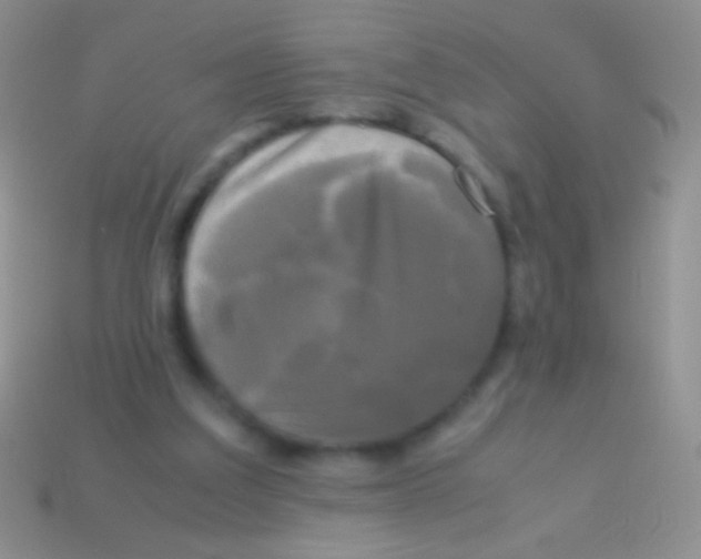 X0000113620203200910162000