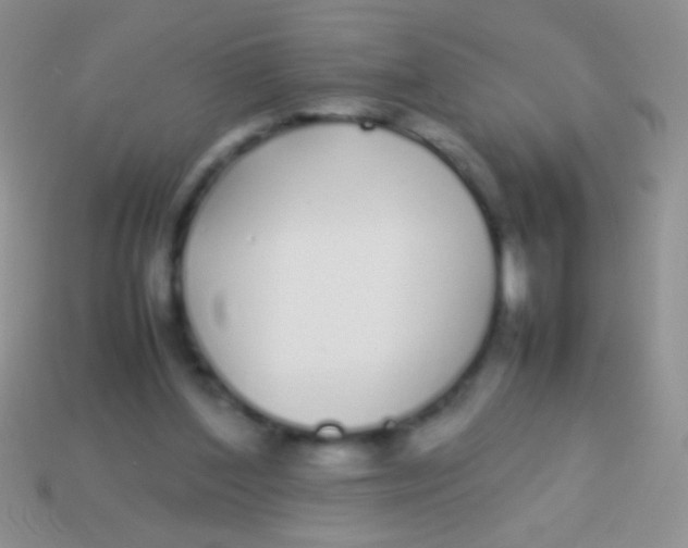 X0000113620204200910162000