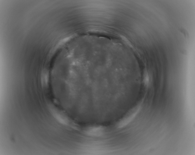 X0000113620206200910162000
