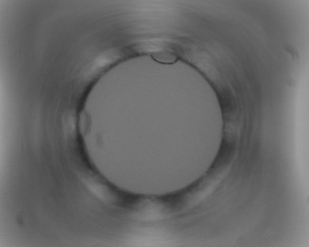 X0000113620207200910162000