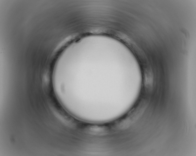 X0000113620208200910162000
