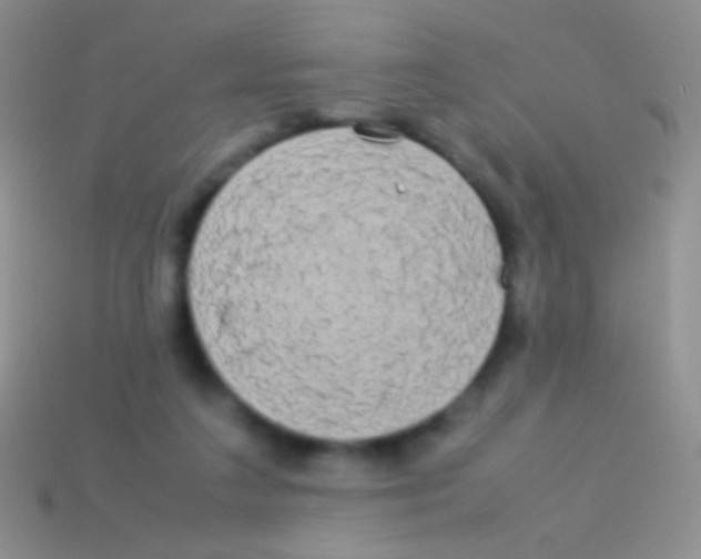 X0000113620211200910162000