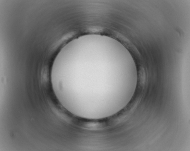 X0000113620212200910162000