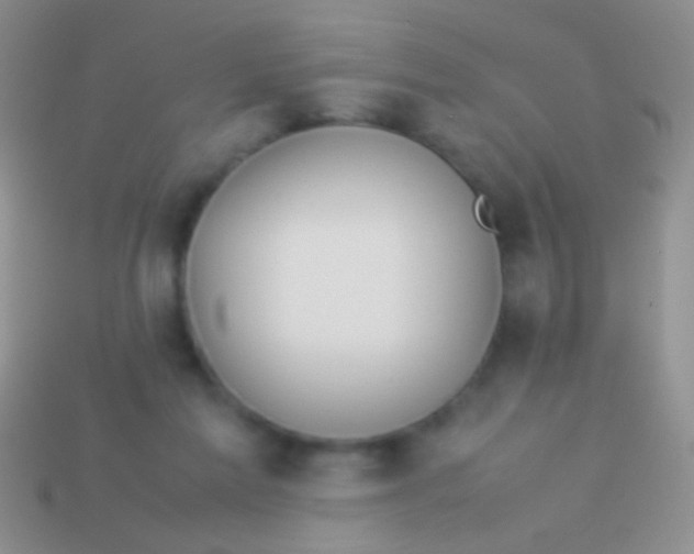 X0000113620213200910162000