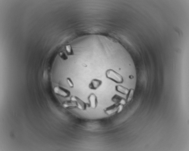 X0000113620214200910162000