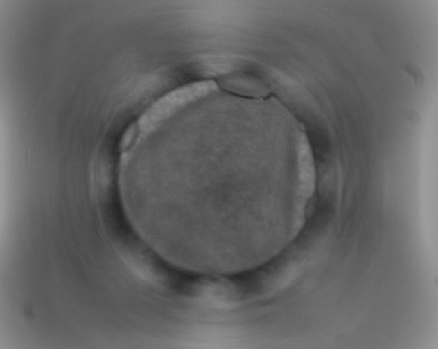 X0000113620215200910162000