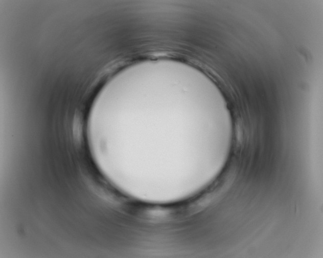 X0000113620216200910162000