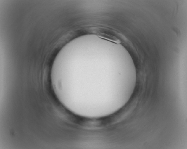 X0000113620217200910162000