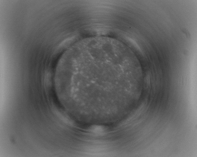 X0000113620218200910162000
