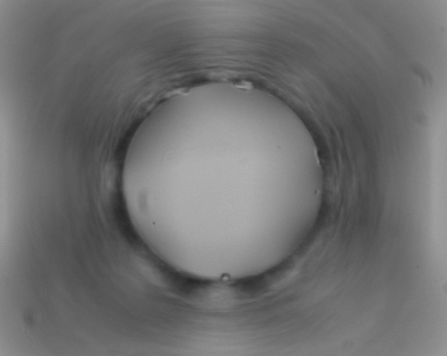 X0000113620219200910162000