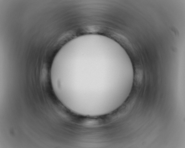 X0000113620220200910162000