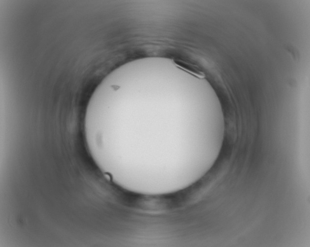 X0000113620221200910162000