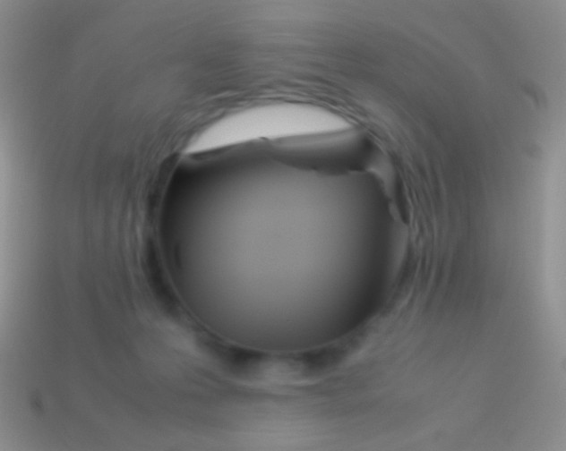 X0000113620223200910162000