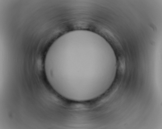 X0000113620224200910162000