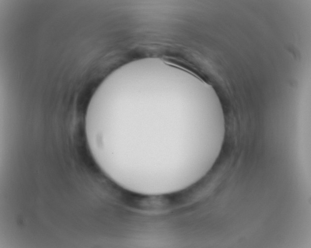 X0000113620225200910162000