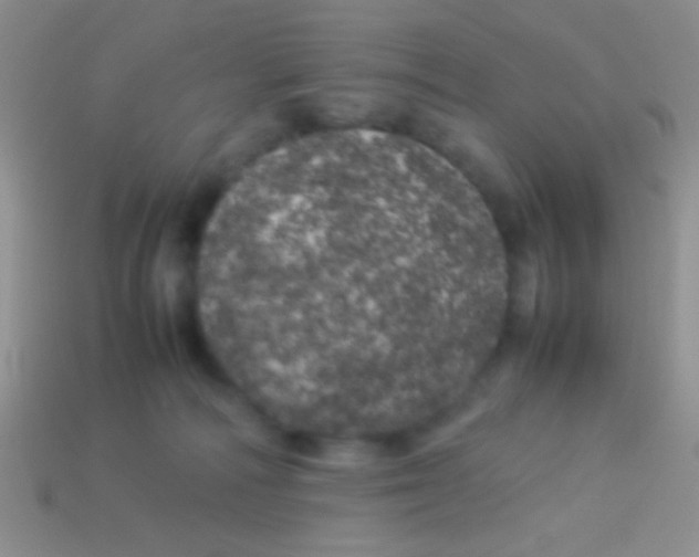 X0000113620226200910162000