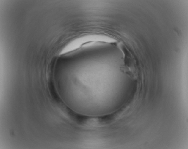 X0000113620227200910162000