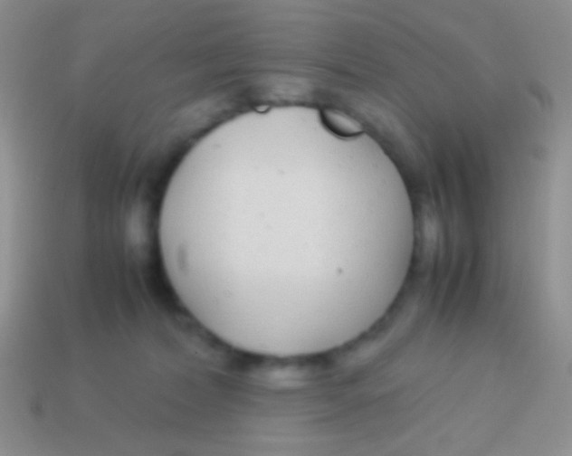 X0000113620228200910162000