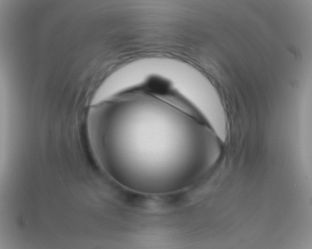 X0000113620229200910162000