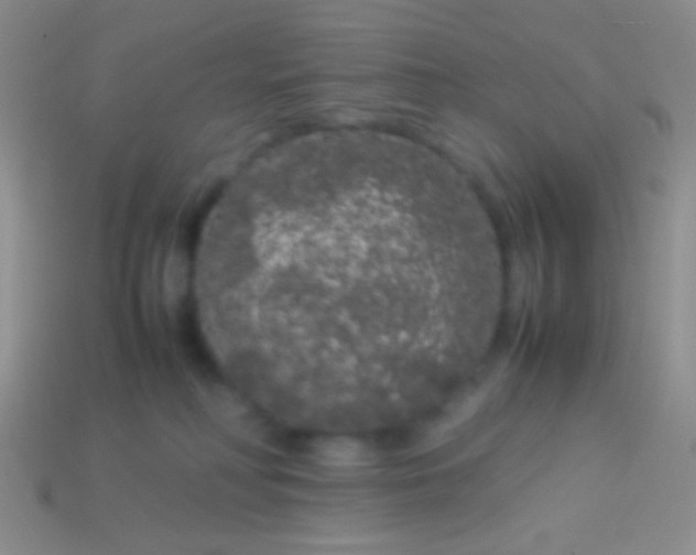 X0000113620230200910162000