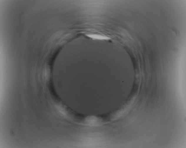 X0000113620231200910162000