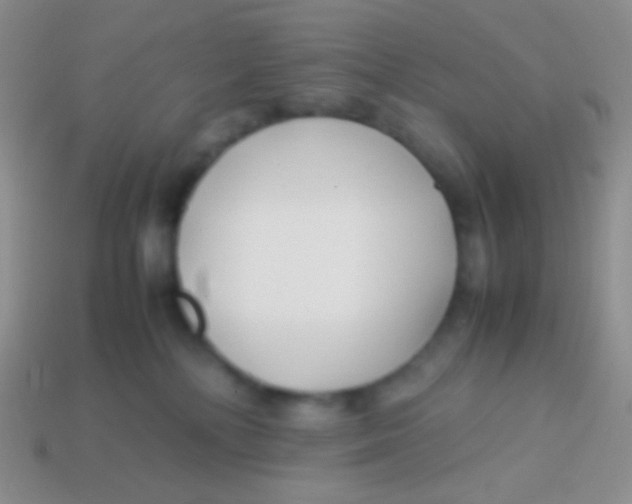 X0000113620232200910162000