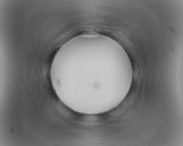 X0000113620233200910162000