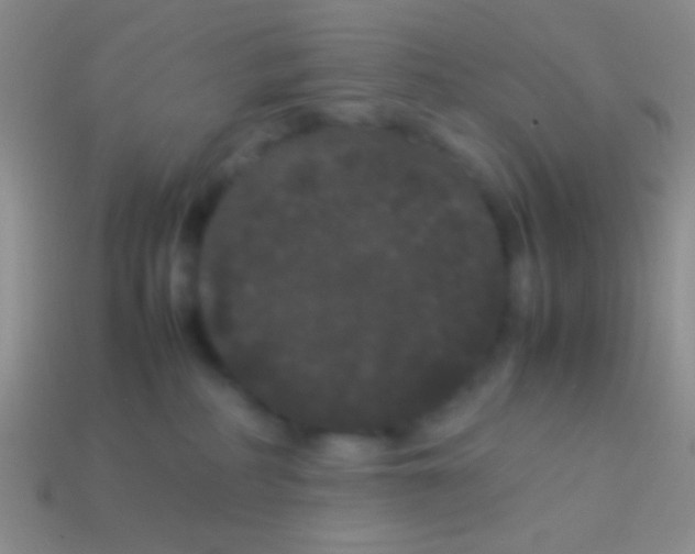 X0000113620234200910162000
