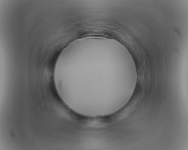 X0000113620235200910162000