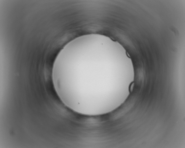 X0000113620236200910162000