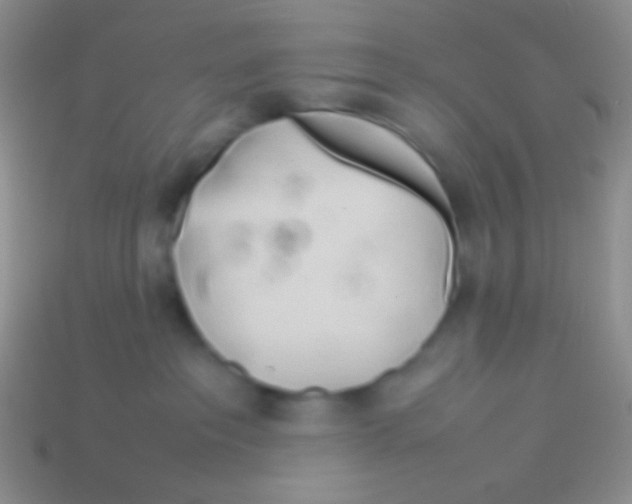 X0000113620237200910162000
