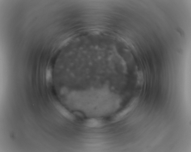 X0000113620238200910162000