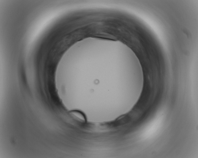 X0000113620239200910162000
