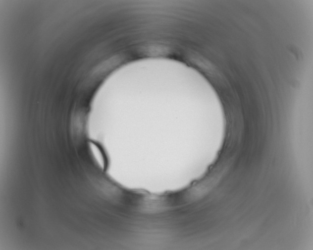 X0000113620240200910162000