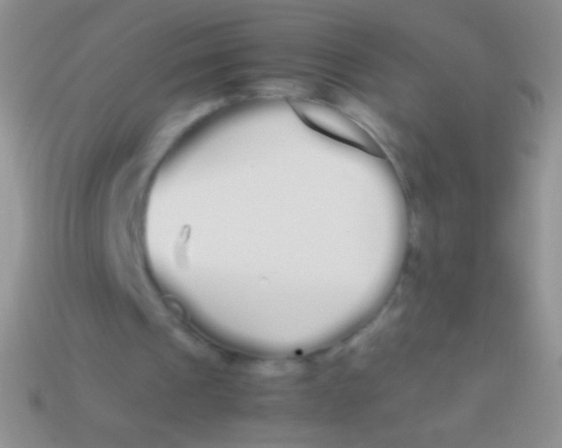X0000113620241200910161959