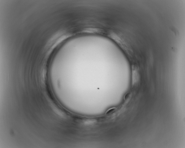 X0000113620243200910161959