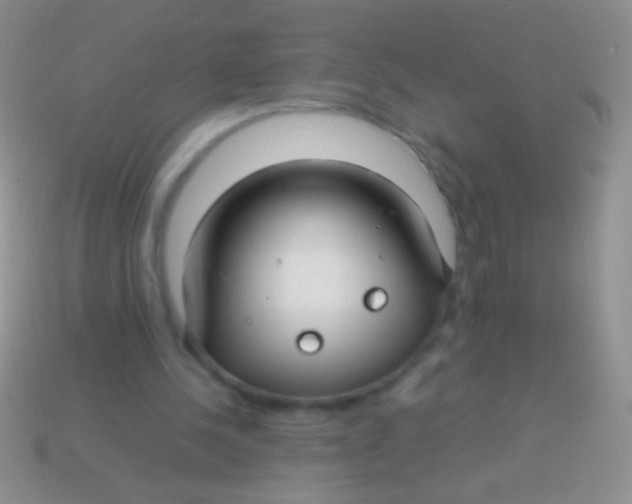X0000113620244200910161959