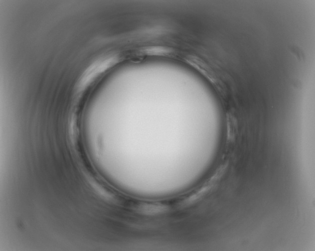 X0000113620245200910161959