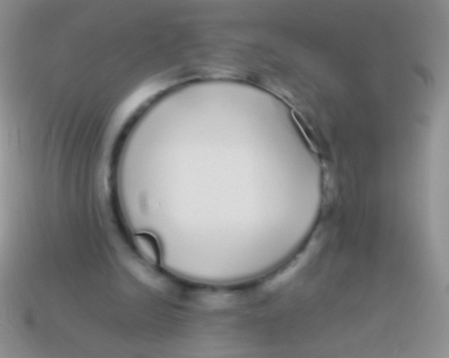 X0000113620246200910161959